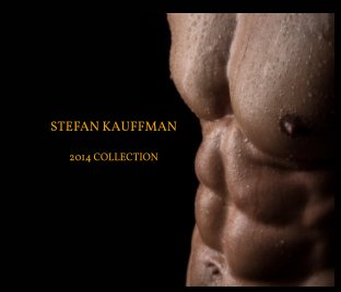 Stefan Kauffman book cover