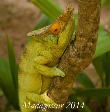 Madagascar 2014 book cover