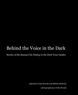 Behind the Voice in the Dark book cover