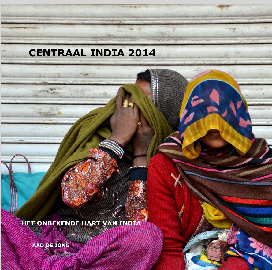 Centraal  INDIA 2014 nach AAD DE JONG anzeigen