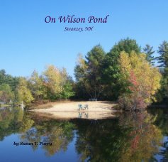 On Wilson Pond Swanzey, NH book cover