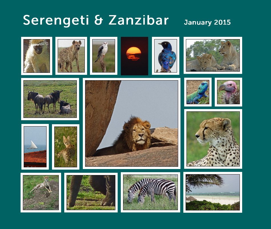 View Serengeti & Zanzibar by Ursula Jacob