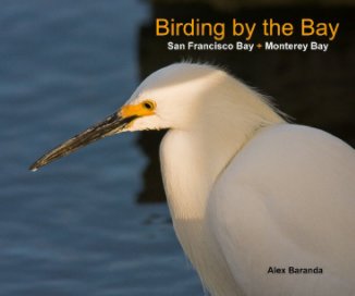 Birding by the Bay book cover