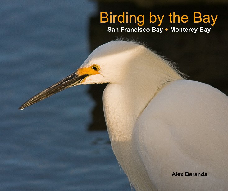 View Birding by the Bay by Alex Baranda