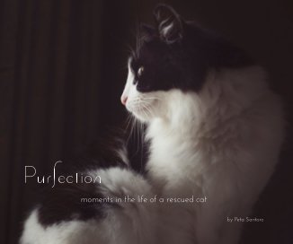 Purfection book cover