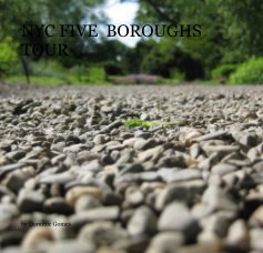 NYC FIVE BOROUGHS TOUR book cover