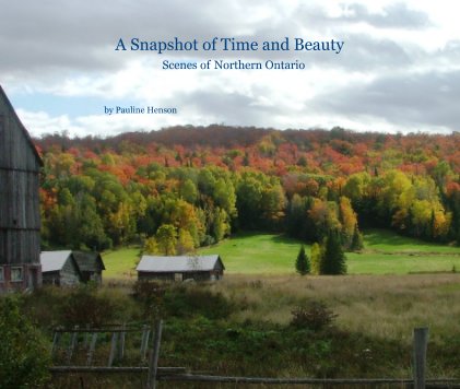 A Snapshot of Time and Beauty book cover