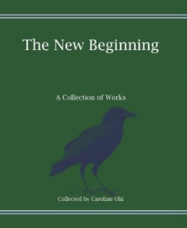 The New Beginning book cover