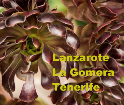 Lanzarote La Gomera Tenerife book cover