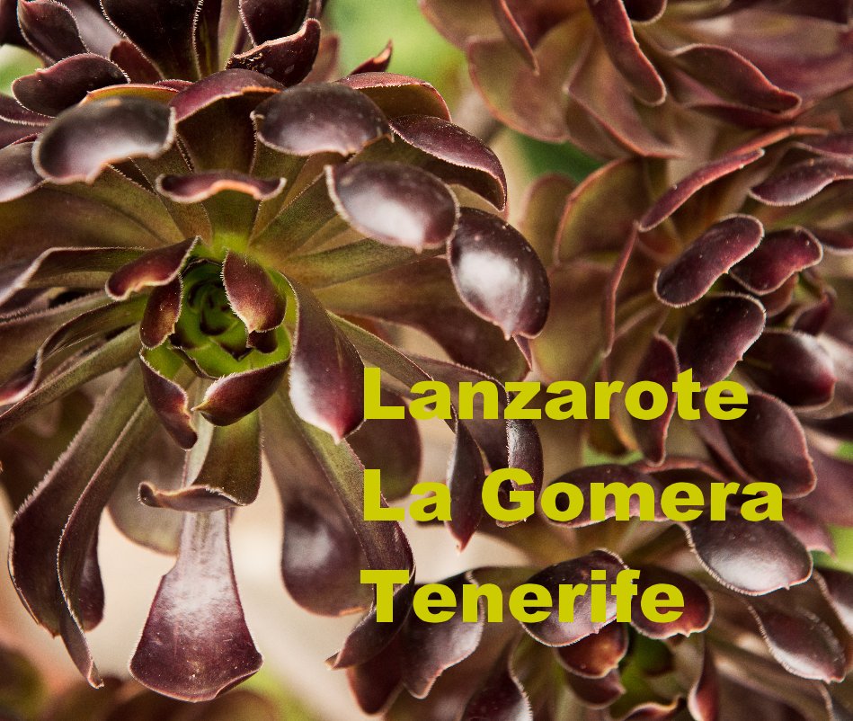 View Lanzarote La Gomera Tenerife by gigerurs