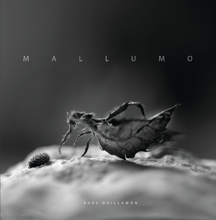View MALLUMO by Raúl Guillamón