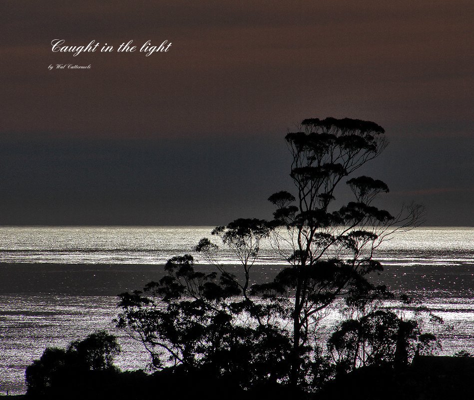 Ver Caught in the light por Wal Cattermole
