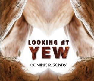 Looking At Yew book cover