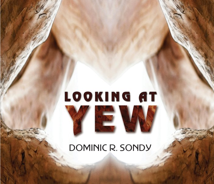 View Looking At Yew by Dominic R. Sondy