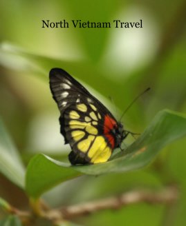 North Vietnam Travel book cover