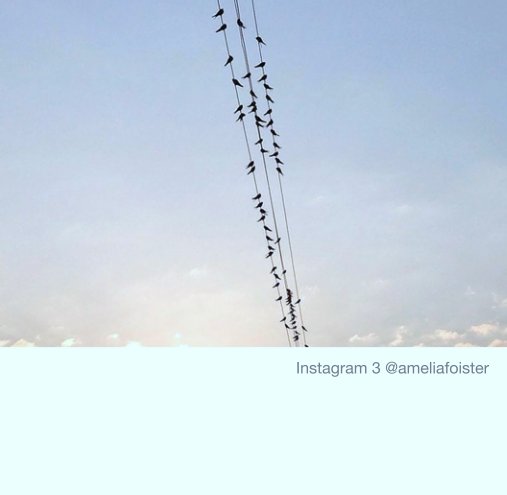 Visualizza Instagram 3 @ameliafoister di @ameliafoister
