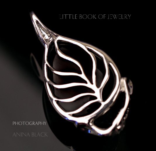 View LITTLE BOOK OF JEWELRY by Anina Black