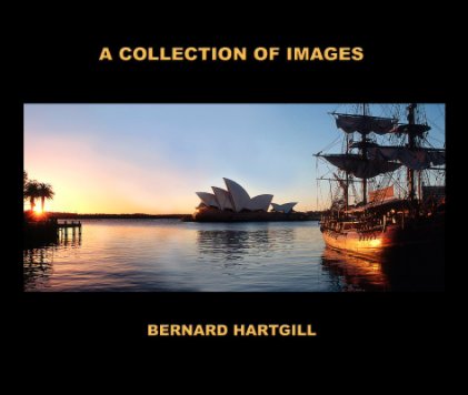 A Collection Of Images book cover