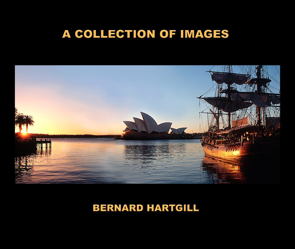 View A Collection Of Images by Bernard Hartgill