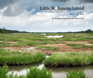 Little St. Simons Island book cover