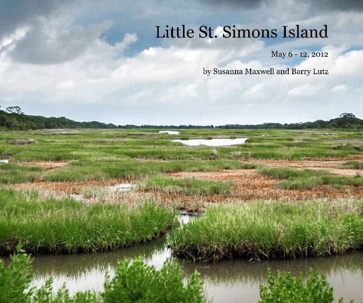 View Little St. Simons Island by Susanna Maxwell and Barry Lutz