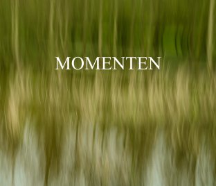 Momenten 2014 book cover
