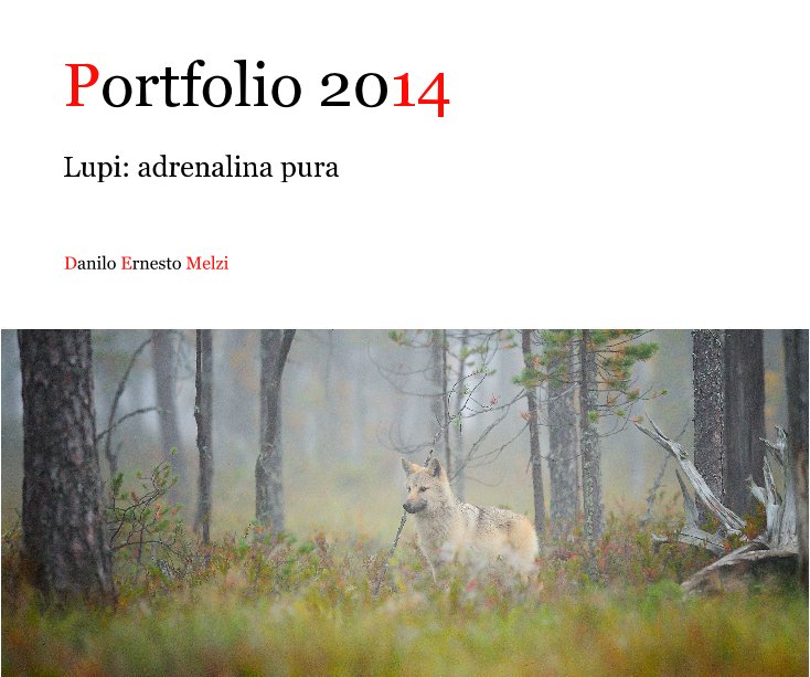 Bekijk Portfolio 2014 op Danilo Ernesto Melzi
