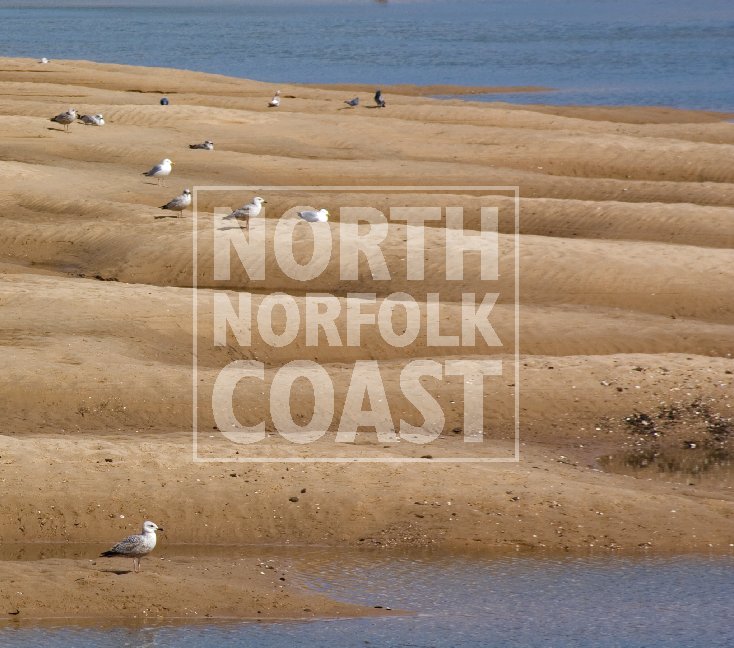 View North Norfolk Coast by Kevin A Trent