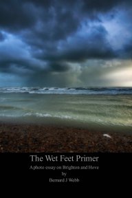 The Wet Feet Primer book cover