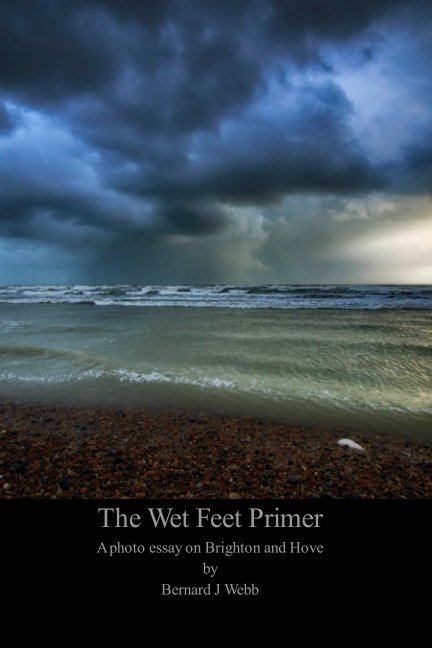 The Wet Feet Primer nach Bernard J Webb anzeigen