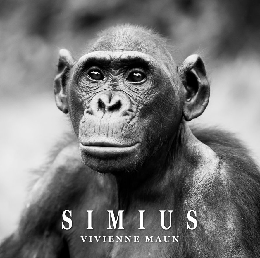 View SIMIUS, Singes Bonobos Geladas... by Vivienne MAUN