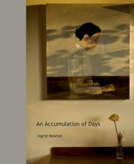 An Accumulation of Days book cover