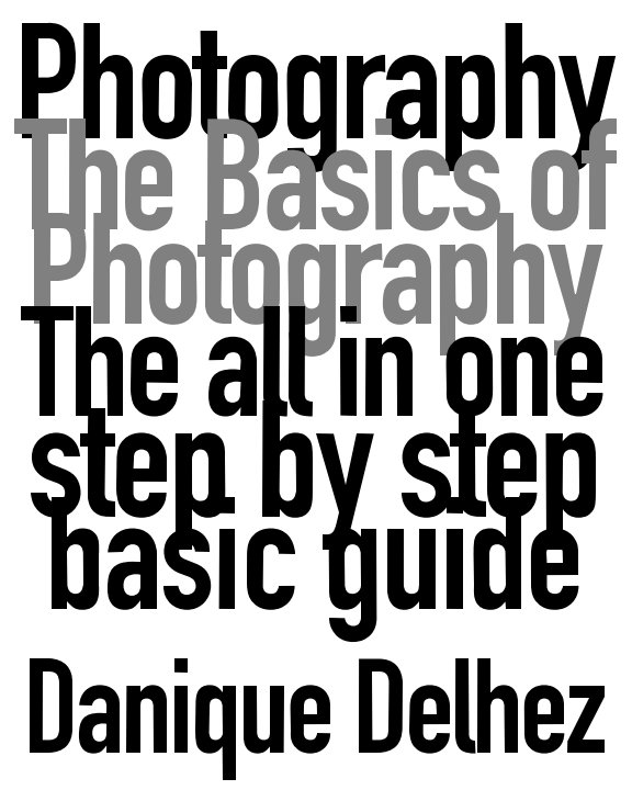 View The Basics of Photography by Danique Delhez