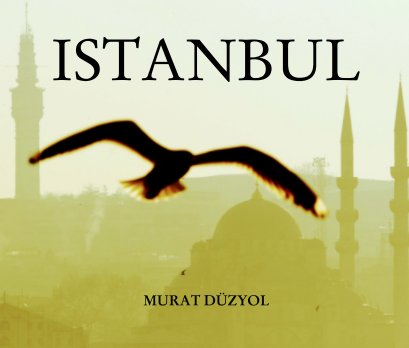 ISTANBUL     Colors Of The City book cover