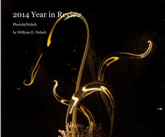 2014 Year in Review book cover