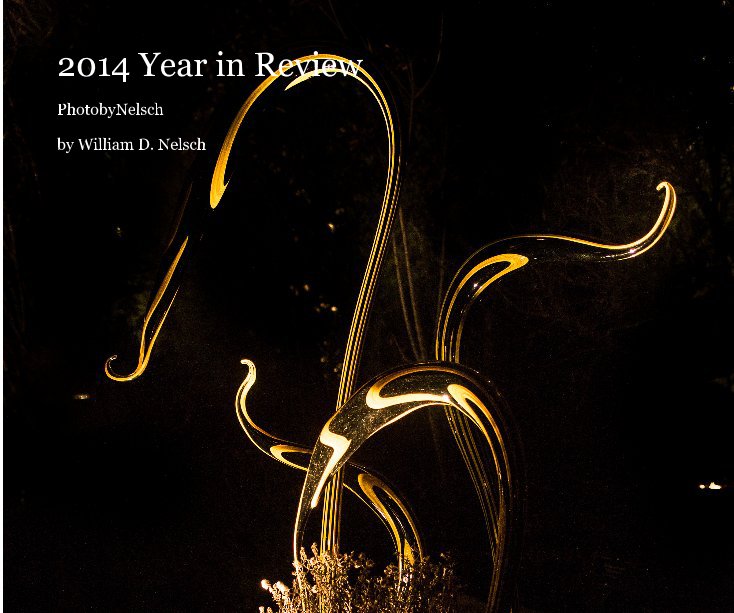 View 2014 Year in Review by William D. Nelsch