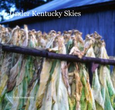 Under Kentucky Skies book cover