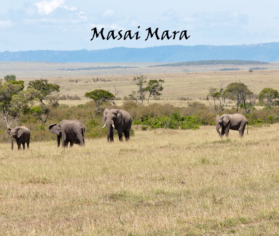 View Masai Mara by Constantinos Stathoulis