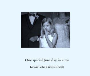 One special June day in 2014 book cover