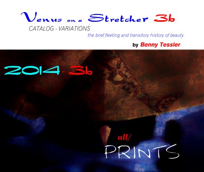 2014 - Venus on a Stretcher, part3b book cover