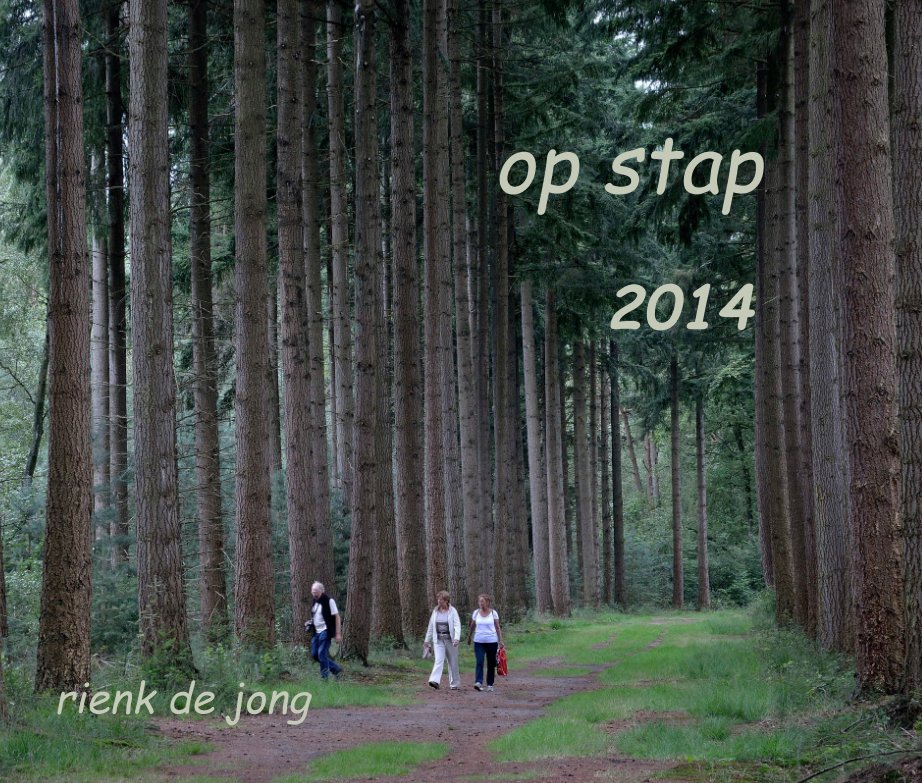 View Op Stap 2014 by Rienk de Jong