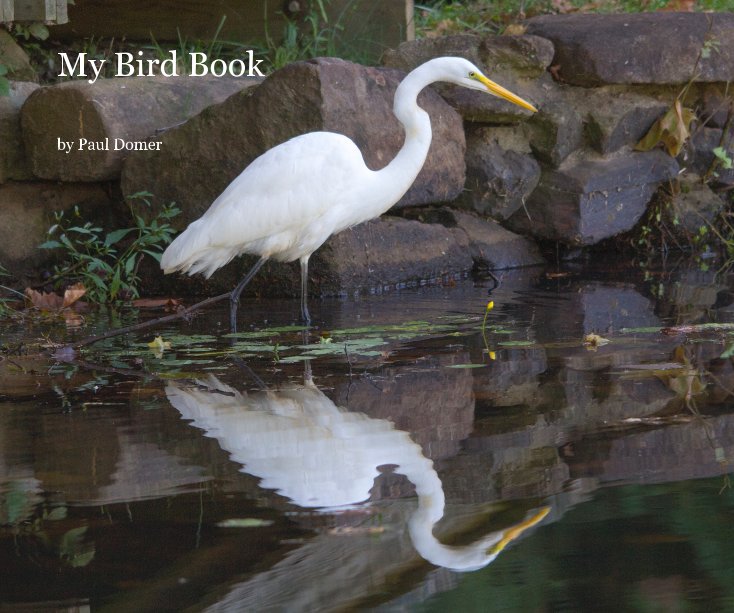 View My Bird Book by Paul Domer