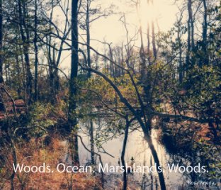 Woods. Ocean. Marshlands. Woods. book cover