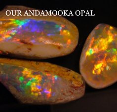 OUR ANDAMOOKA OPAL book cover