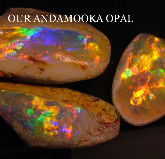 View OUR ANDAMOOKA OPAL by Peter Taubers - Margot Duke