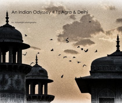 An Indian Odyssey #1 : Agra & Delhi ( Revised Version ) book cover