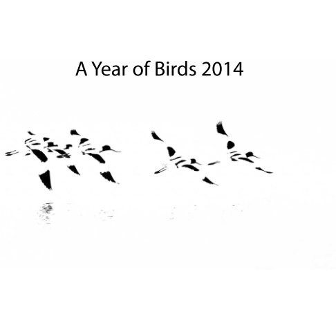 View A Year of Birds 2014 by Chris de Blank