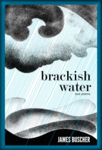 Brackish Water book cover