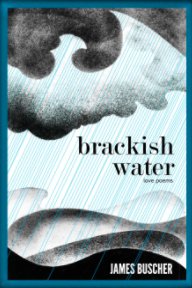 Brackish Water book cover
