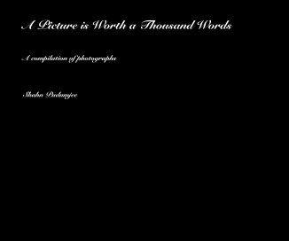 A Picture is Worth a Thousand Words book cover
